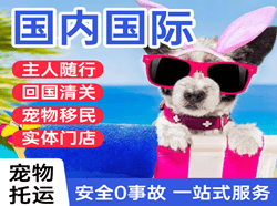 惠州航空货运国际宠物托运 【国